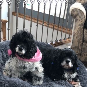 Meet your Posher, Linda